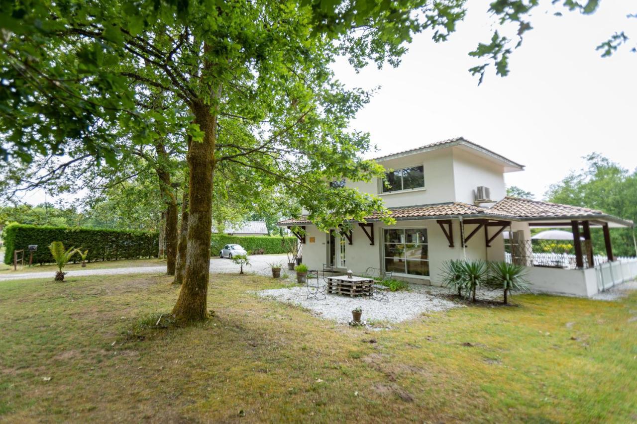 La Villa Minvia Les Landes Entre Mer Et Montagne Saint-Vincent-de-Paul  外观 照片