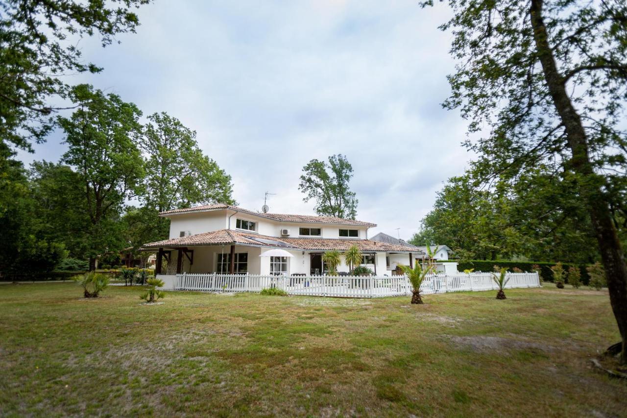 La Villa Minvia Les Landes Entre Mer Et Montagne Saint-Vincent-de-Paul  外观 照片