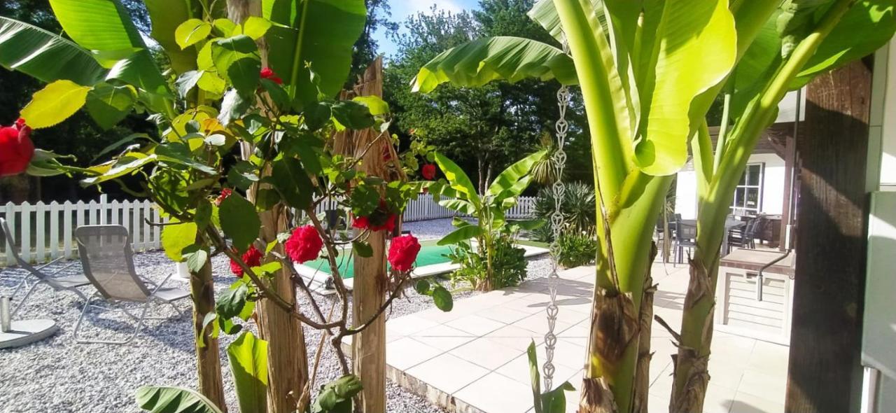 La Villa Minvia Les Landes Entre Mer Et Montagne Saint-Vincent-de-Paul  外观 照片